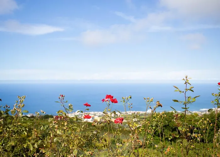 Casitas La Brenda Y La Gaga *