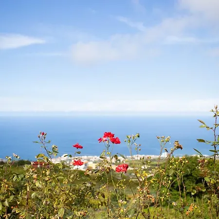 Casitas La Brenda Y La Gaga *