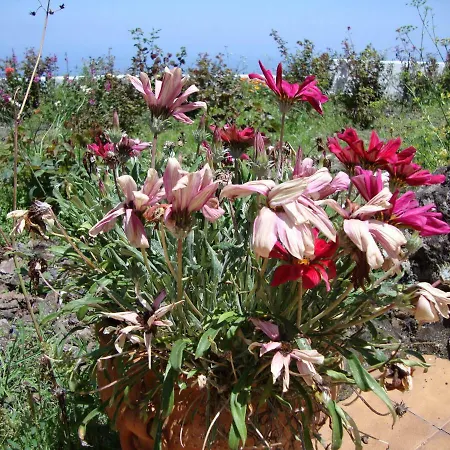 Casitas La Brenda Y La Gaga Διαμέρισμα Λος Ρεαλέχος